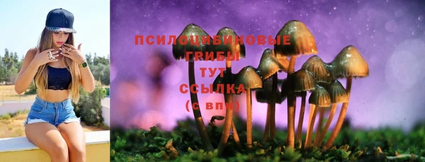 мескалин Бородино