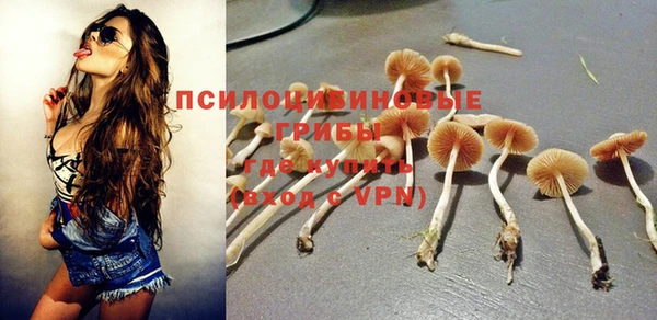 mdpv Бронницы