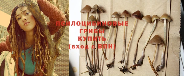 mdpv Бронницы