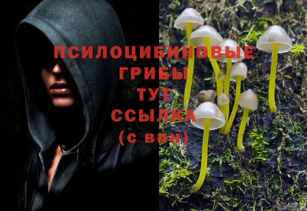 МДПВ Бугульма
